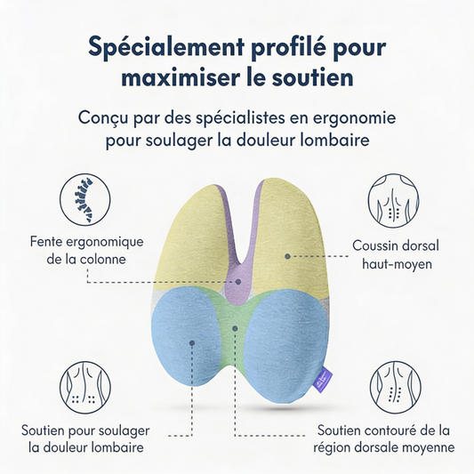 Coussin Lombaire Ergonomique Mémoire de Forme Mal de Dos Bureau | Kumo Back™